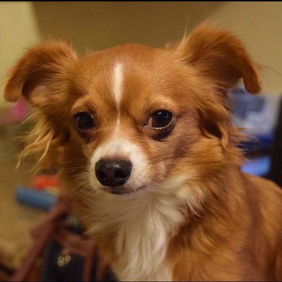 Meet your Posher, Terri - Picture 5 of 10